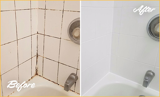 Before and After Picture of a Wyndham Shower Tile and Grout Cleaned to Eliminate Mold