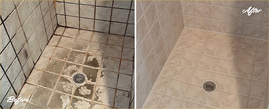 Shower Restored by Our Professional Tile and Grout Cleaners in Glen Allen, VA