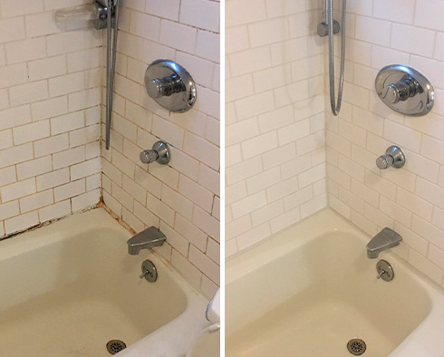 Shower Before and After a Grout Cleaning in Petersburg, VA